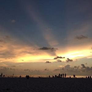 Meet your Posher, Monica